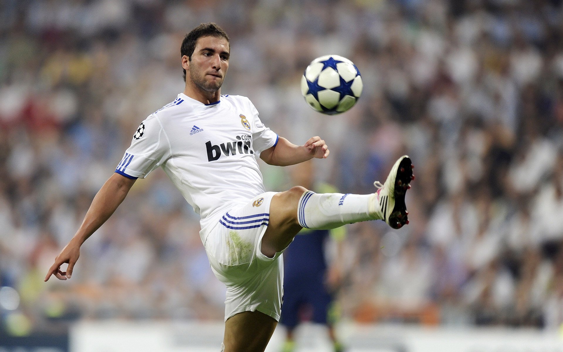 2026世界杯之夜，阿拉巴的致命弧线，让悬念在哨响前终结